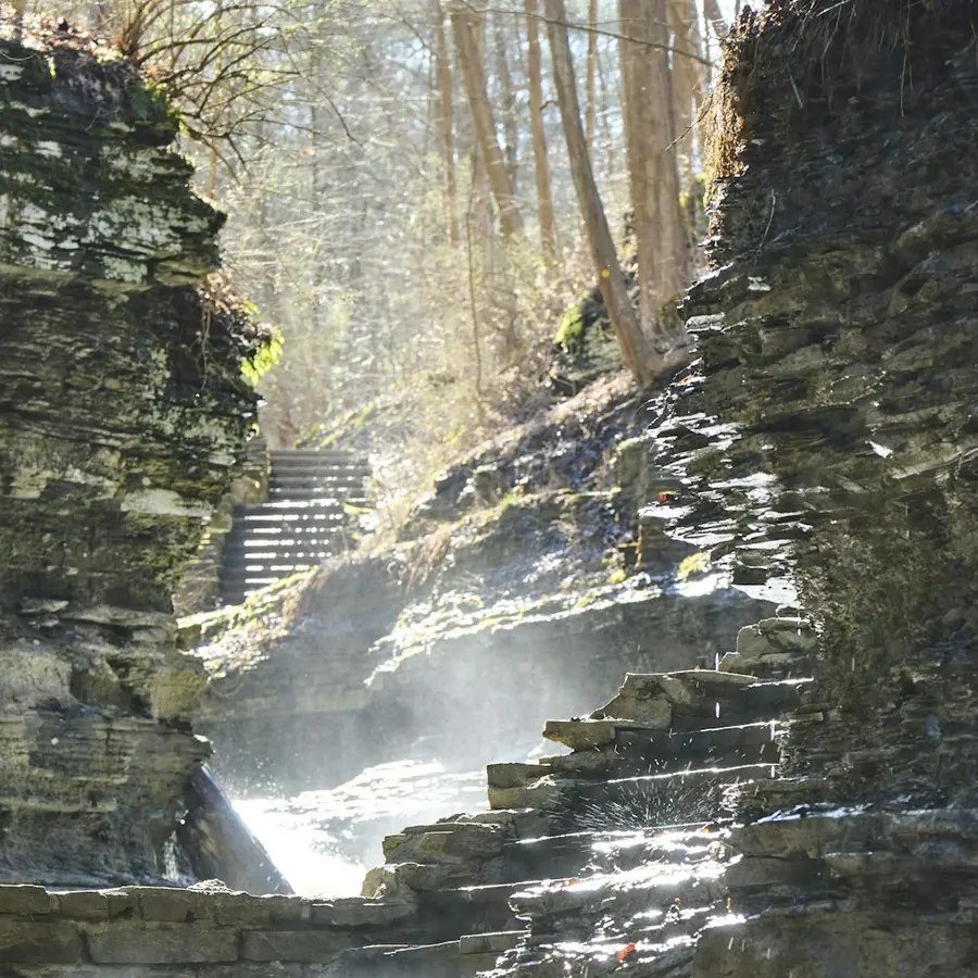 Escalier de pierre s'élevant à travers une gorge boisée, lumière filtrée
