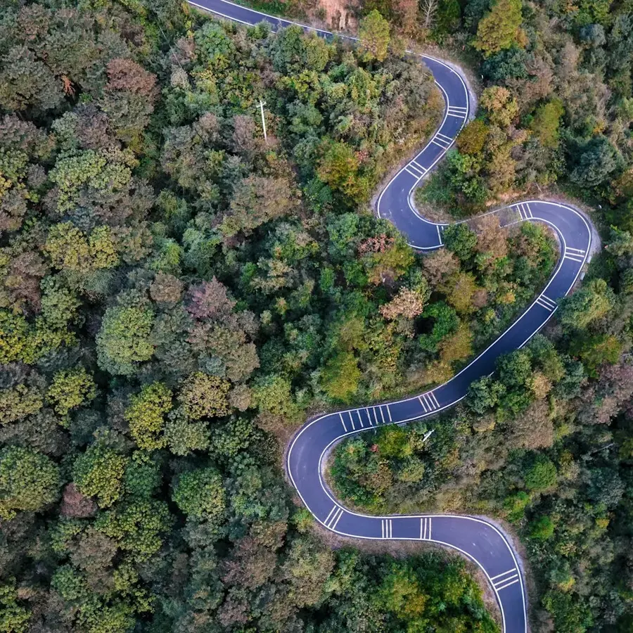 Route sinueuse vue du ciel, à travers la forêt