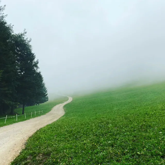 Cadre naturel du Cantal accueillant les formations et ateliers